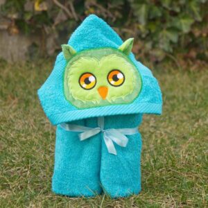 Owl Boy Peeker Applique Design